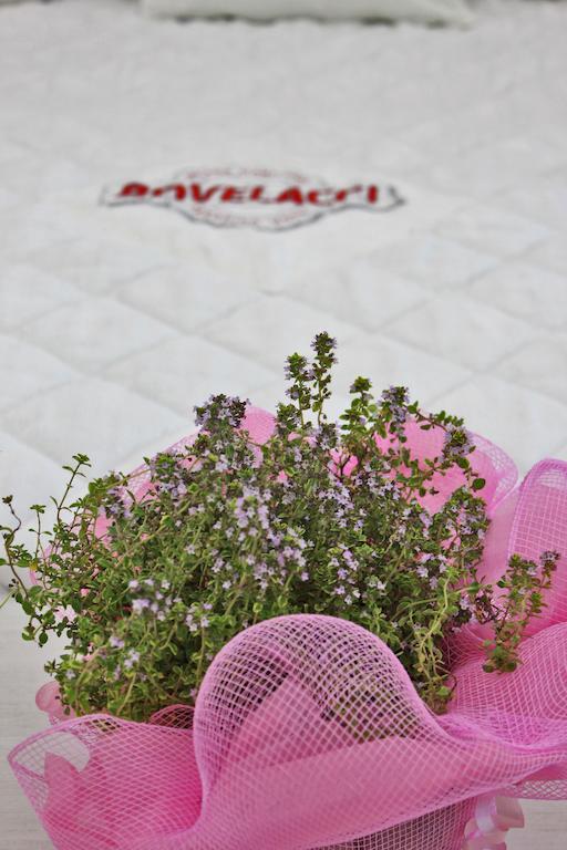 Hotel Boutique Paradiso Bovelacci